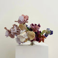 Photographie encadrée Iris barbu I – 40 × 40 cm — Joruniq