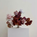 Photographie encadrée Iris barbu II – 40 × 40 cm — Joruniq