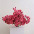 Photographie encadrée Fleurs d’eucalyptus – 40 × 40 cm — Joruniq