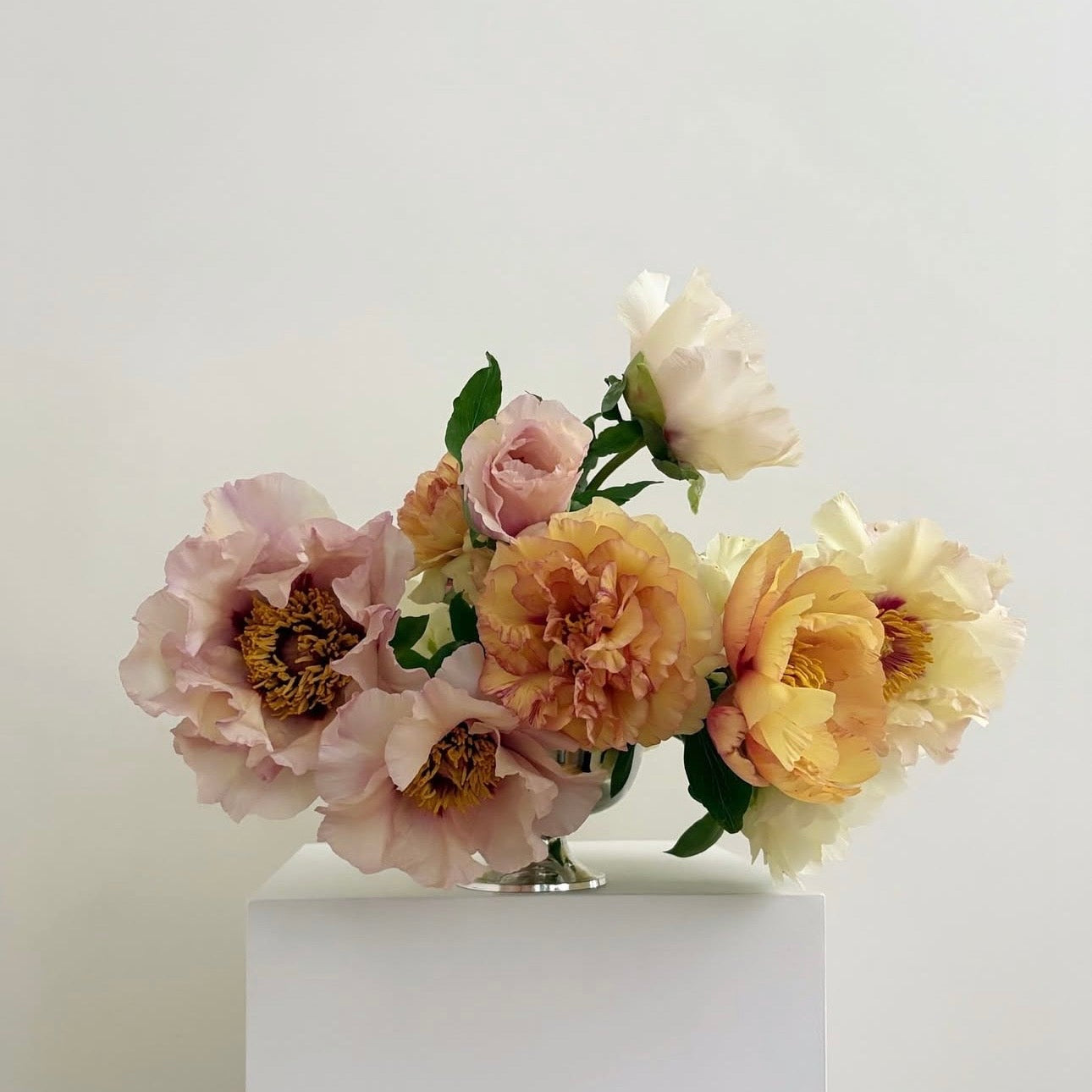 Photographie encadrée Pivoines – 40 × 40 cm — Joruniq