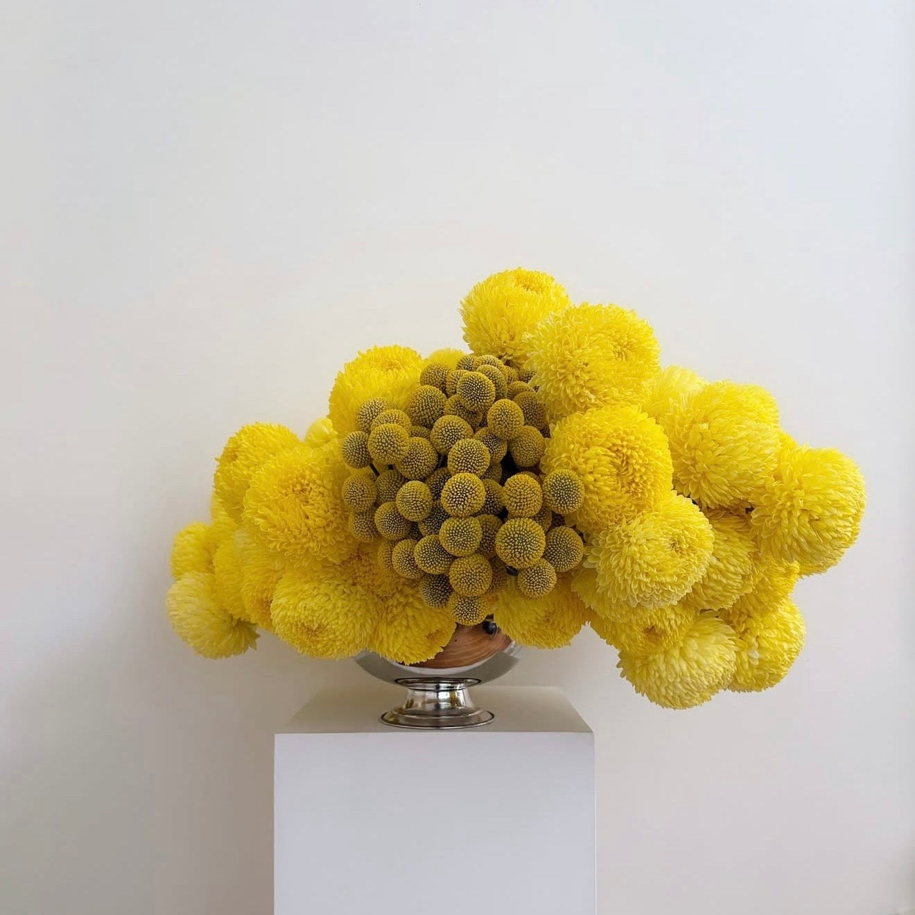 Photographie encadrée Pompon jaune – 40 × 40 cm — Joruniq